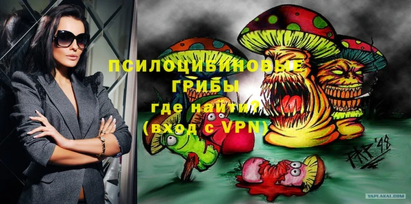 мдпв Алексеевка
