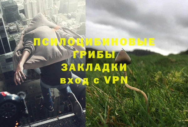 стафф Алзамай